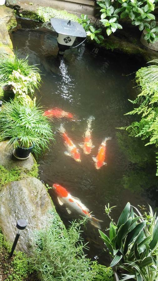 Walking Pilgrimage Hotel Tokiwa Ryokan Ozu  Bagian luar foto